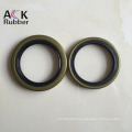 Custom Tc/Sc/Tg NBR FKM FPM Rubber Oil Seal